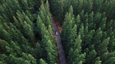 DJI_0001