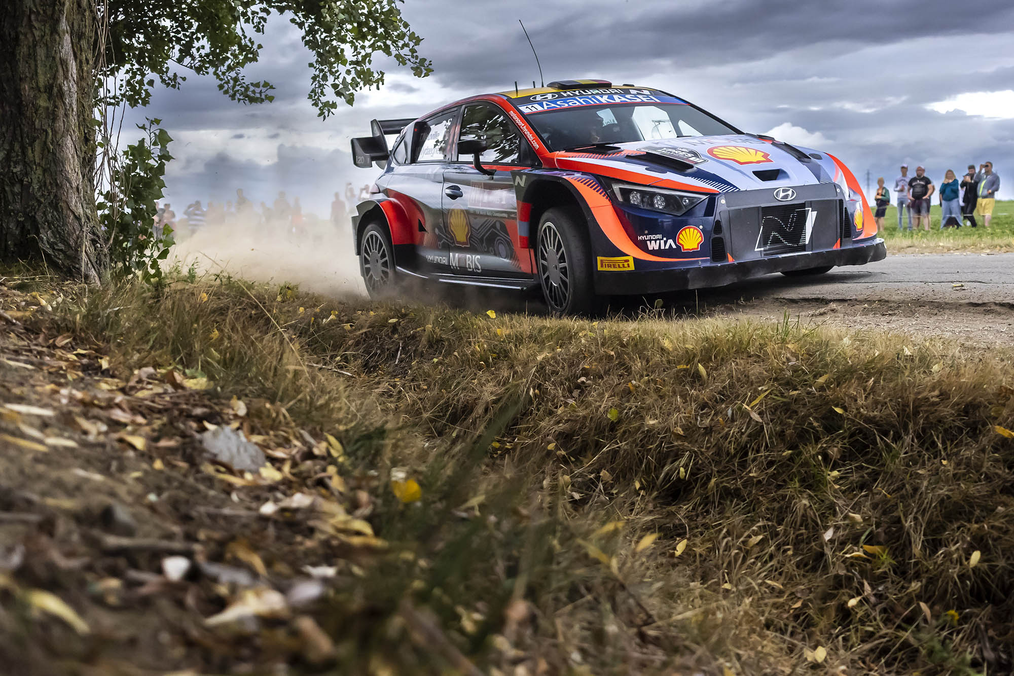 WRC - Thierry Neuville (Hyundai)