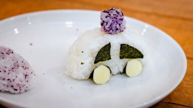Nissan Onigiri Action