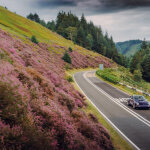 Theon Design CHI001 - Porsche 911