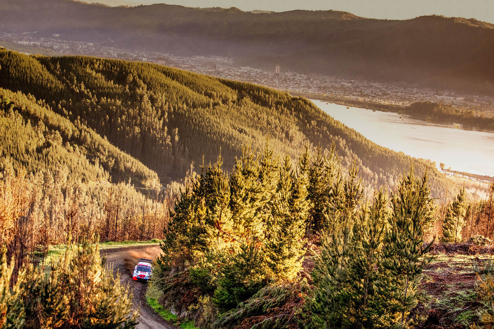Kalle Rovanperä (FIN) and Jonne Halttunen (FIN) of TOYOTA GAZOO RACING WRT are seen competing at FIA World Rally Championship Chile on 28.09.23 // @World / Red Bull Content Pool // SI202310240325 // Usage for editorial use only //