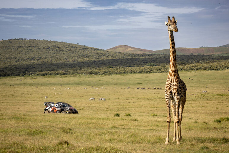 WRC - Kalle Rovanpera & Jonne Halttunen (Toyota GR Yaris Rally1), Ράλλυ Σαφάρι Κένυα 2024