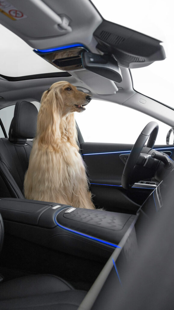 mercedes-bark-assist3