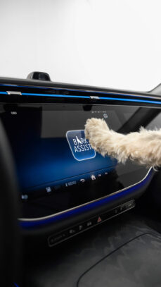 mercedes-bark-assist4