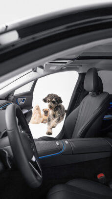 mercedes-bark-assist7