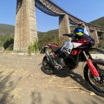 DUCATI DESERT X 1