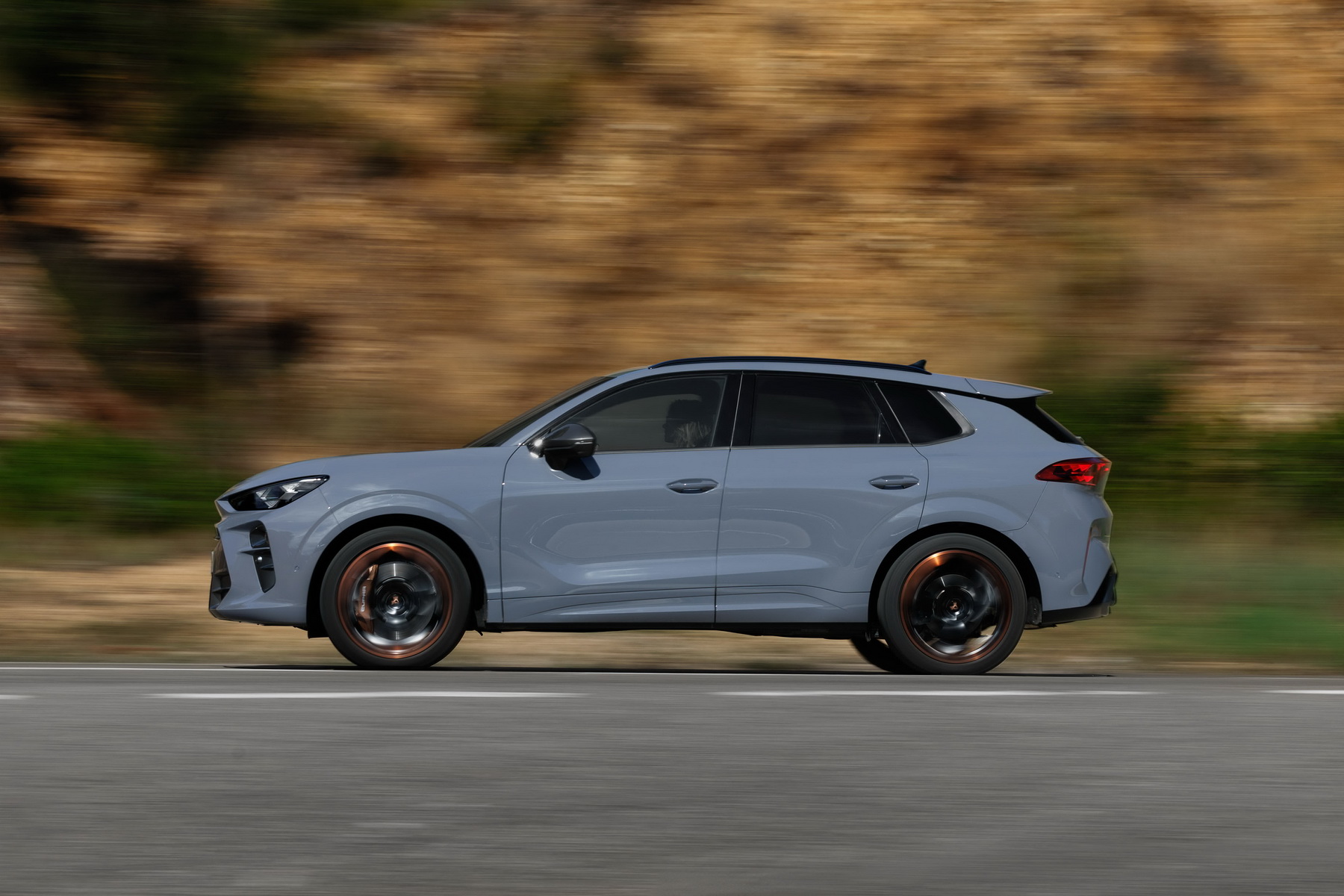 Cupra Terramar 1 (11)