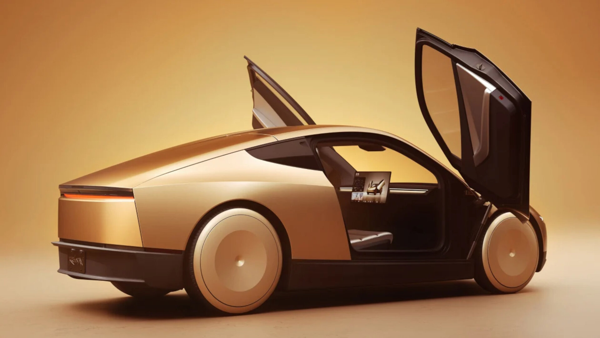 Robotaxi 2024 3