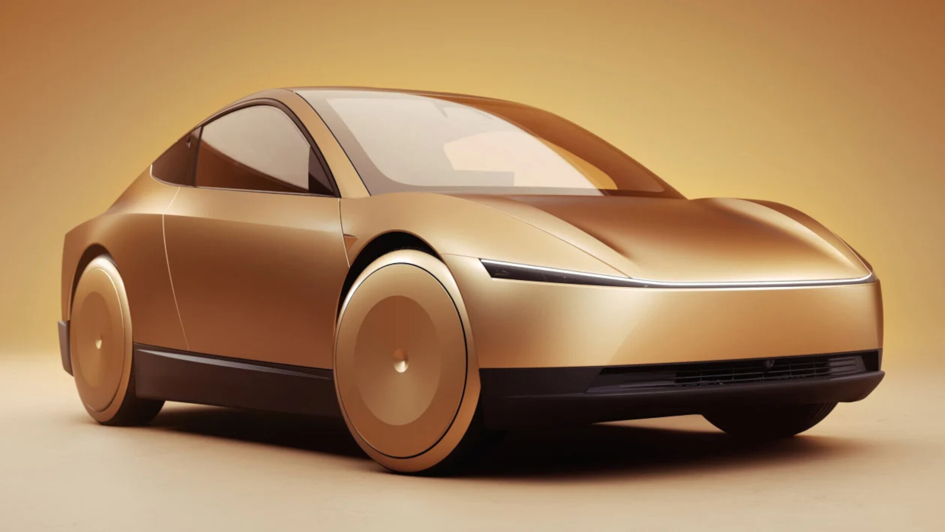 Tesla Robotaxi 2024