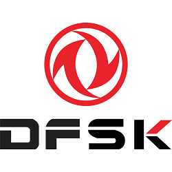dfsk logo 2024