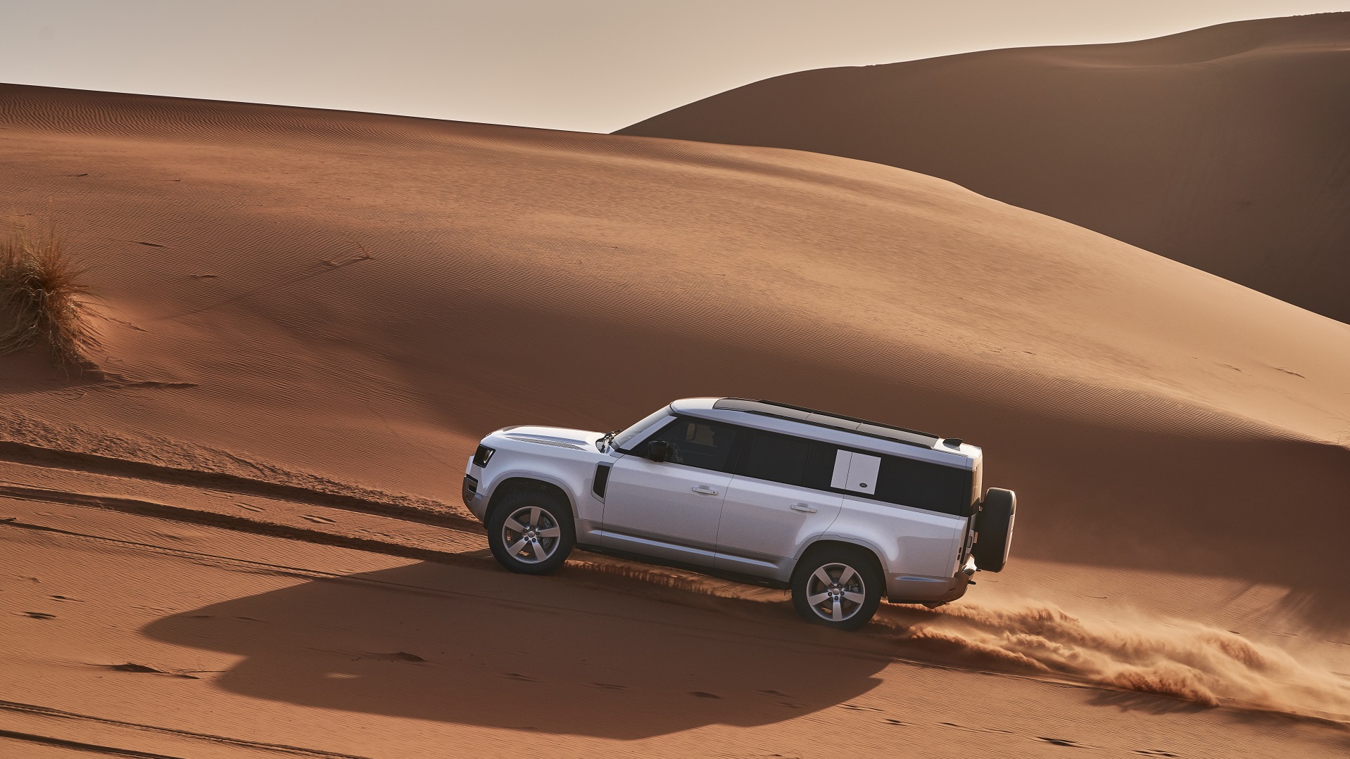 LR DEFENDER native 2