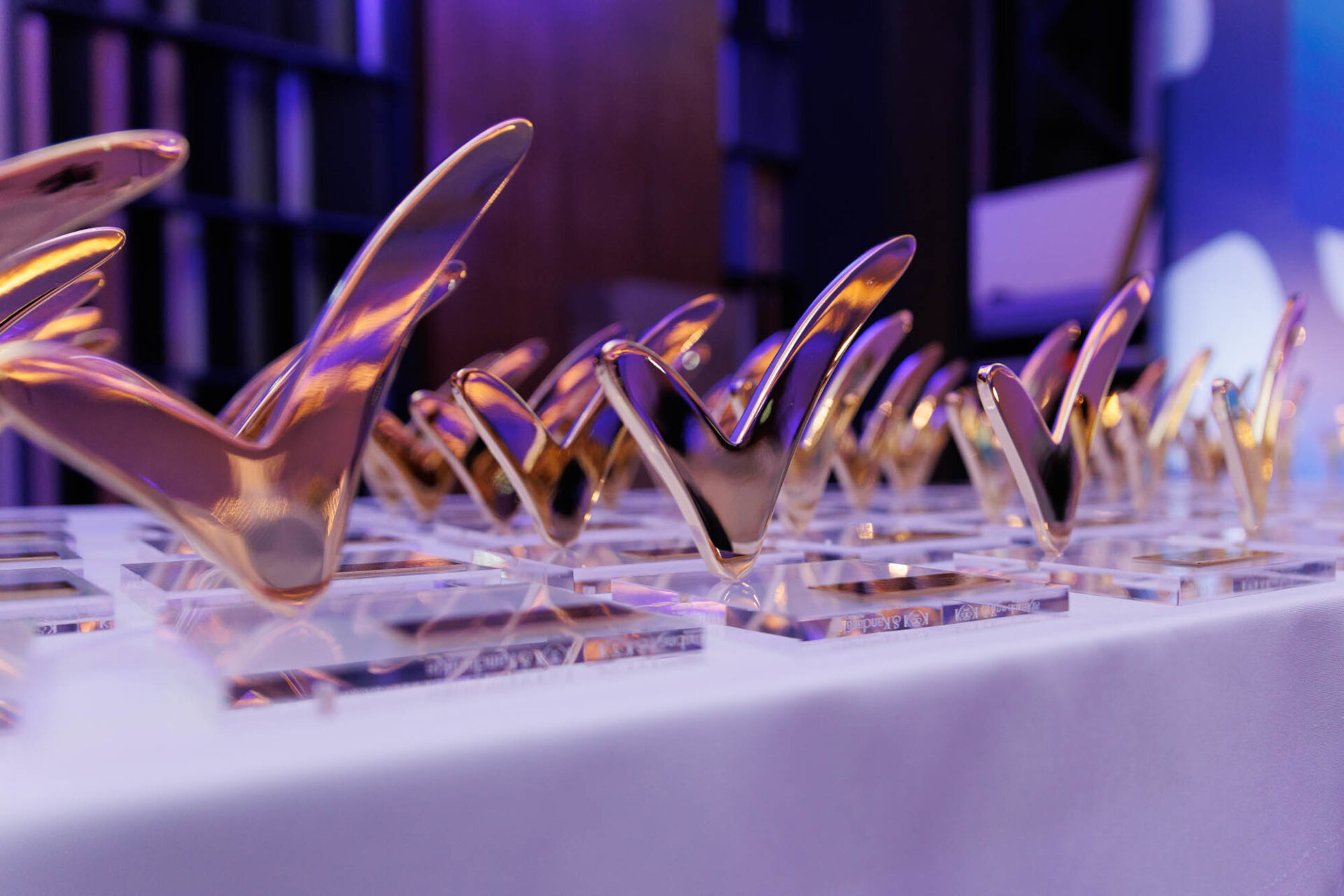 kosmocar awards volkswagen (3)