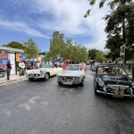 antikes kai louloudia 2025 (10)