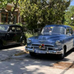 antikes kai louloudia 2025 (16)