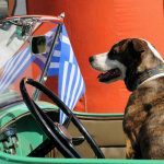 antikes kai louloudia 2025 (2)