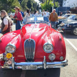 antikes kai louloudia 2025 (9)