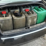 paranoma kausima (5)