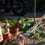 EKO ACROPOLISRALLY2024 Shakedown JK 70