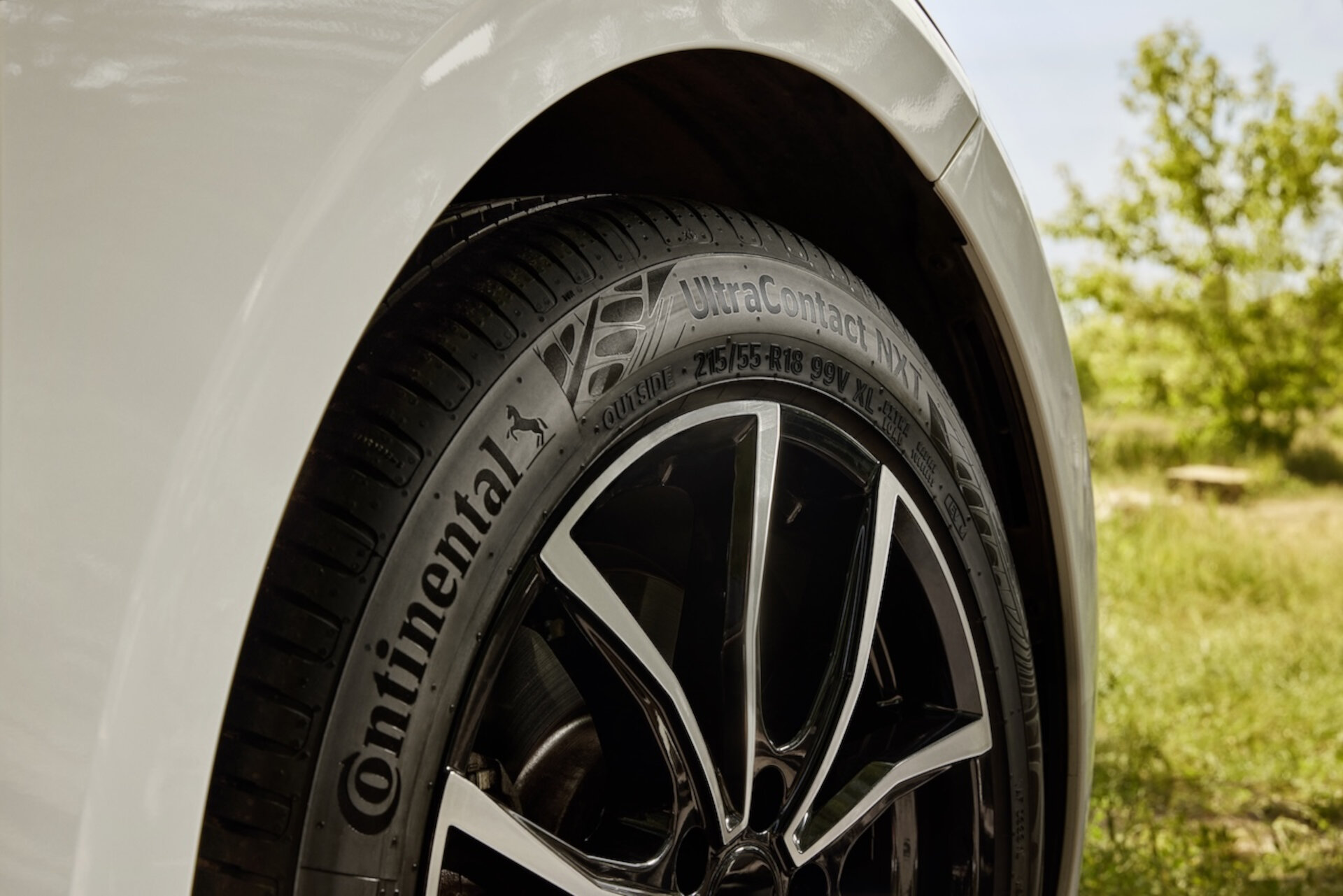 continental nxt