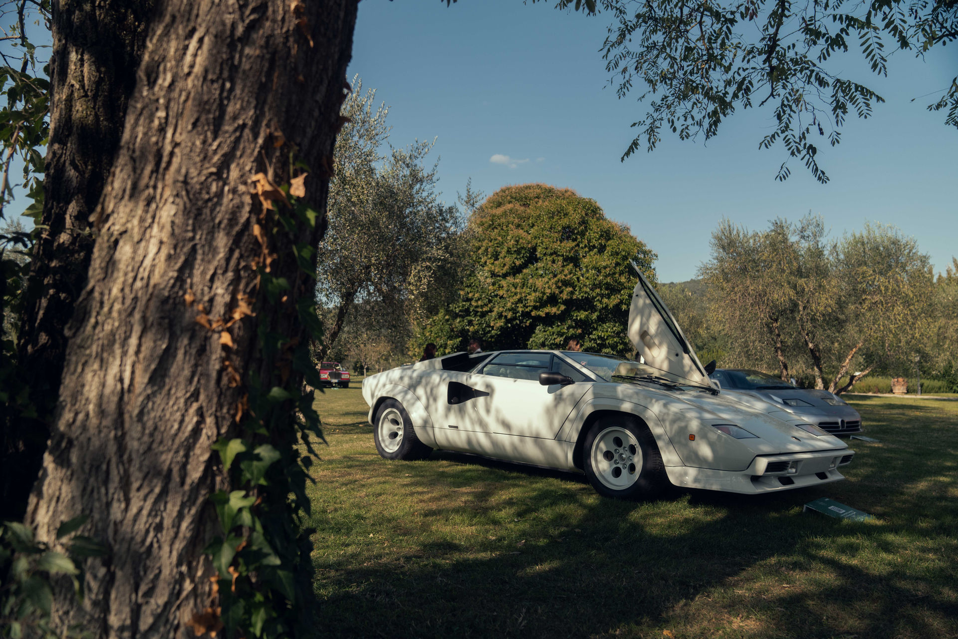 2 Lamborghini Countach 5000 Quattrovalvole