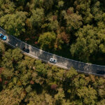 Courtesy of Canossa and Villa La Massa 98