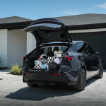 Tesla Model Y Standard (4)