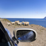 MINI Countryman SE ALL4 Iceland (22)