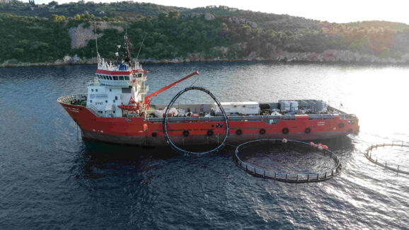 Hyundai Healthy Seas Methana (3)