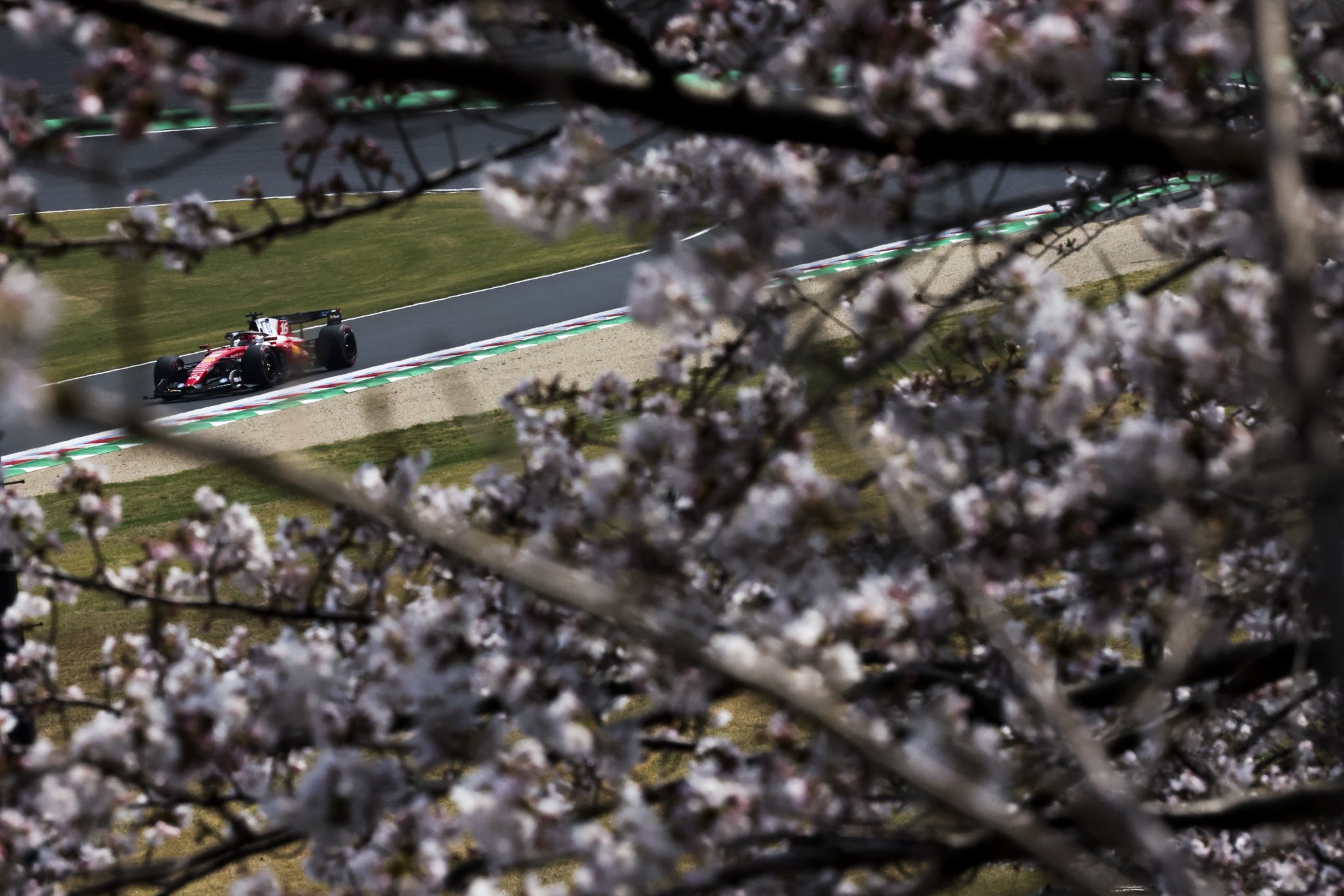 F1 Charles Leclerc (Ferrari) F1 Charles Leclerc (Ferrari)