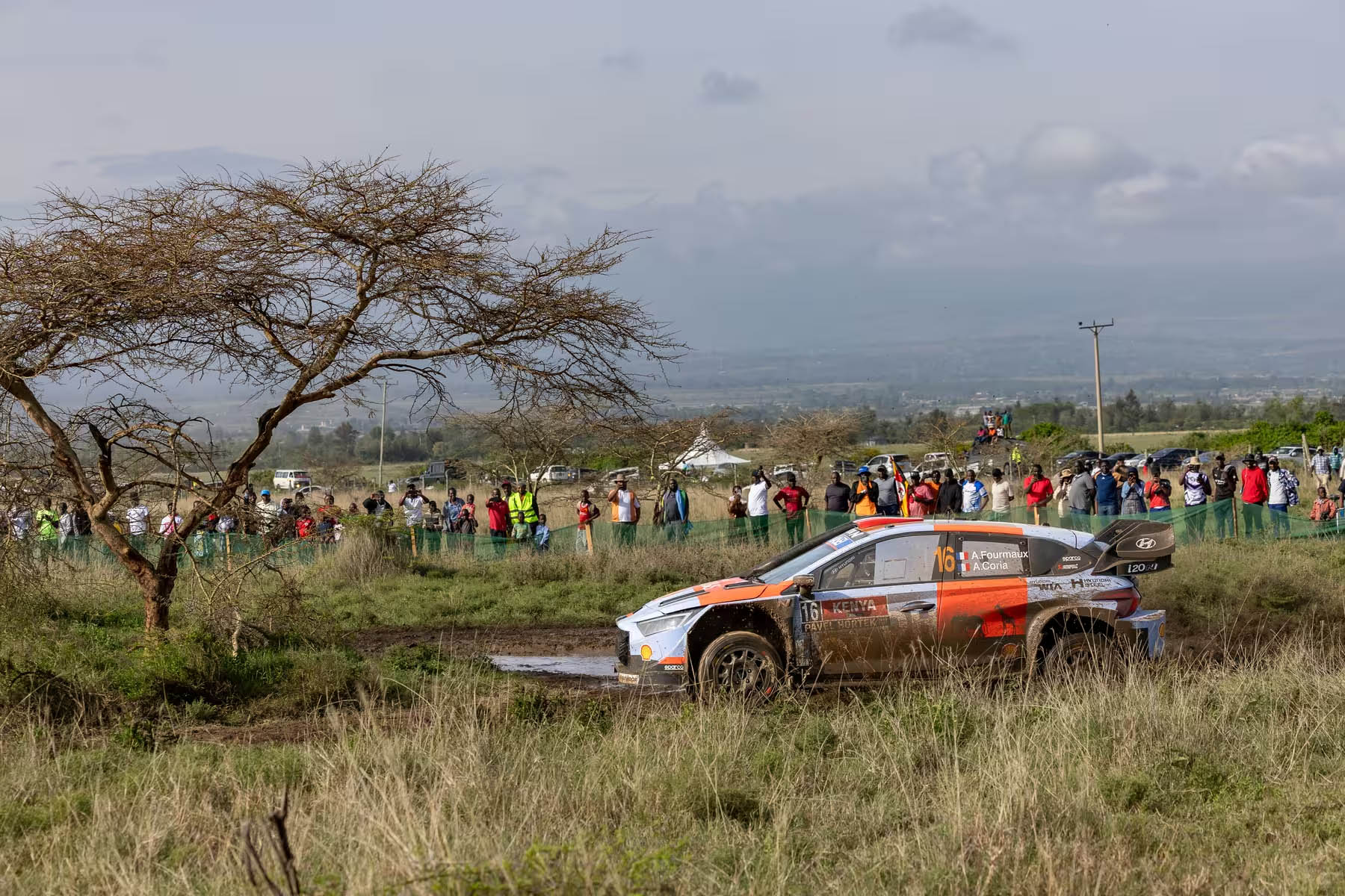 WRC Adrien Fourmaux (Hyundai)