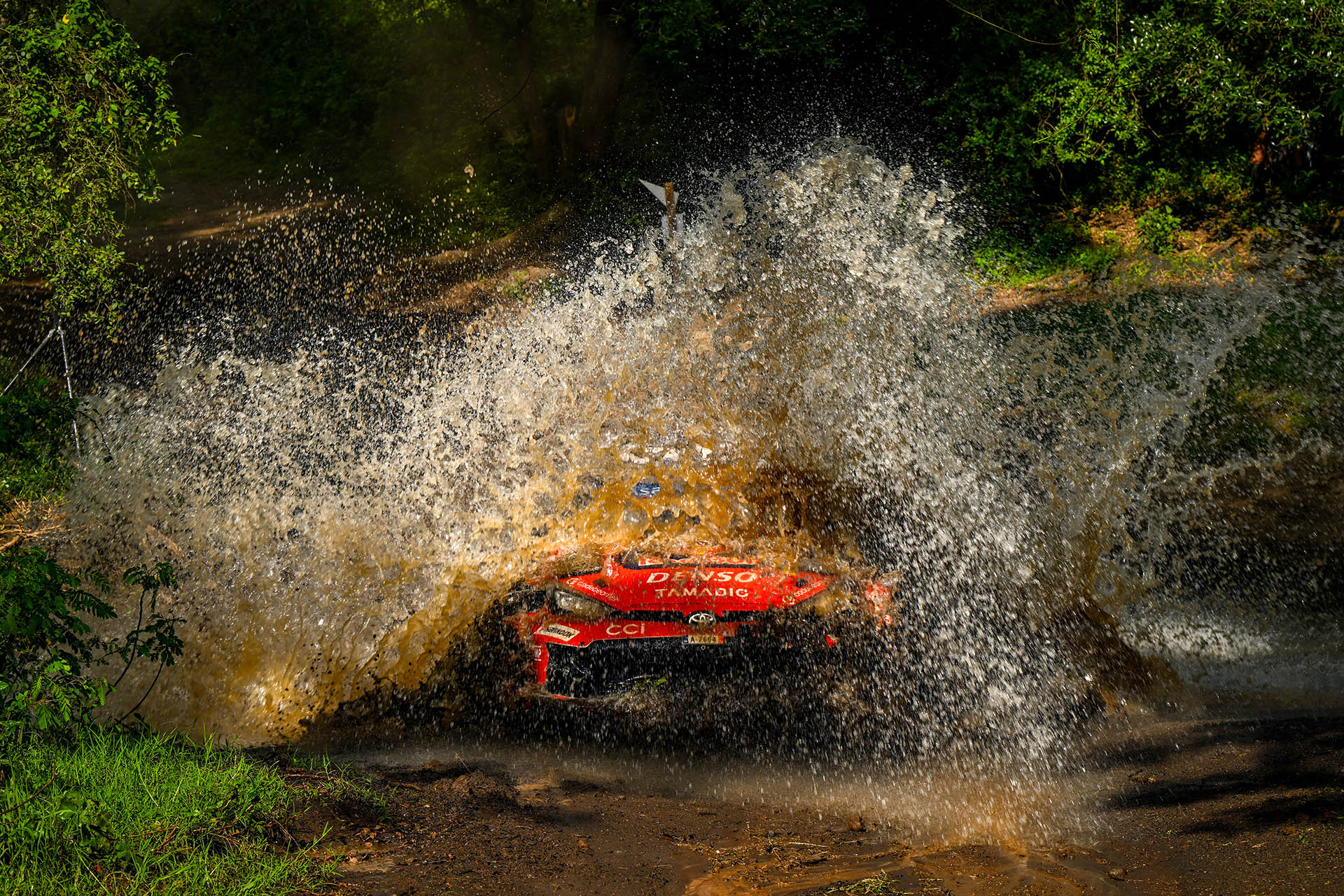 WRC Sebastien Ogier (Toyota)