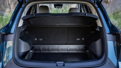 BYD ATTO2 DM i INTERIOR (1) resize