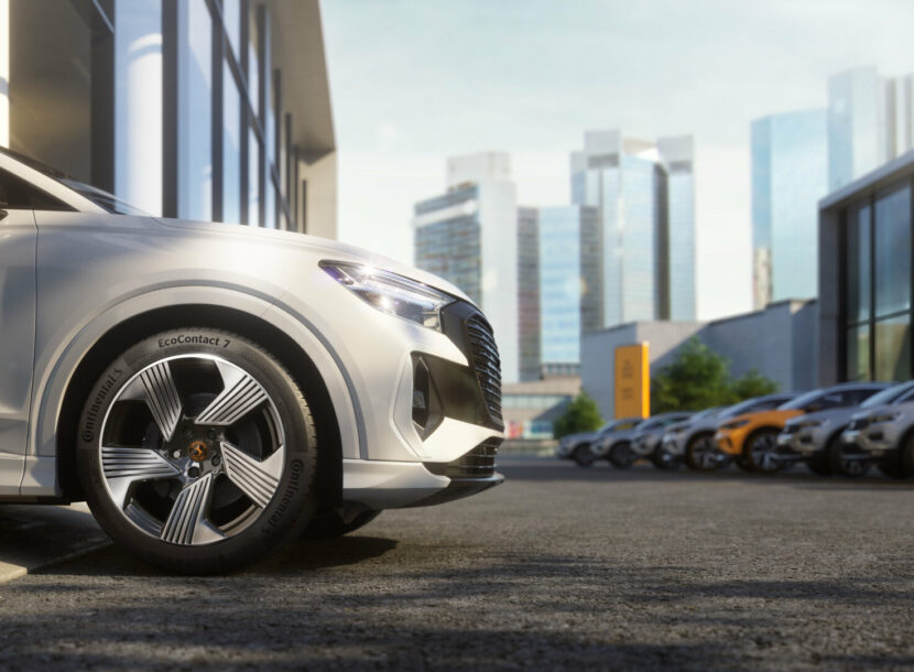 Continental elastika (3)