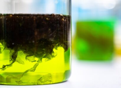 envato green alga laboratory research alternative biofue 2026 03 24 22 18 35 utc