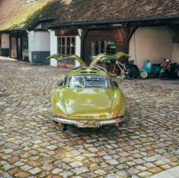 Concours of Elegance Germany 2026 (27)