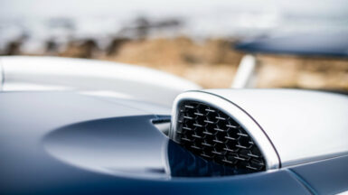 Bugatti Veyron La Maison Pur Sang (10)