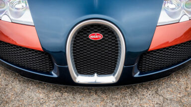 Bugatti Veyron La Maison Pur Sang (18)