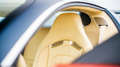 Bugatti Veyron La Maison Pur Sang (5)