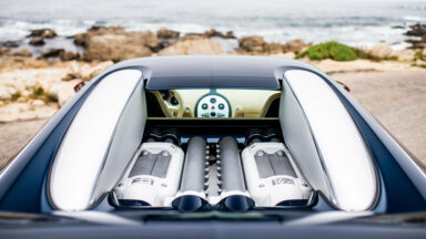 Bugatti Veyron La Maison Pur Sang (9)