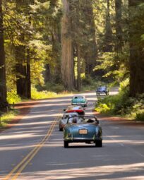 Pebble Beach Concours d'Elegance 2026 (11)