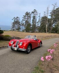Pebble Beach Concours d'Elegance 2026 (15)