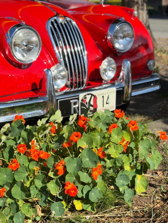 Pebble Beach Concours d'Elegance 2026 (22)