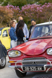 Citroen Classic Tour (14)