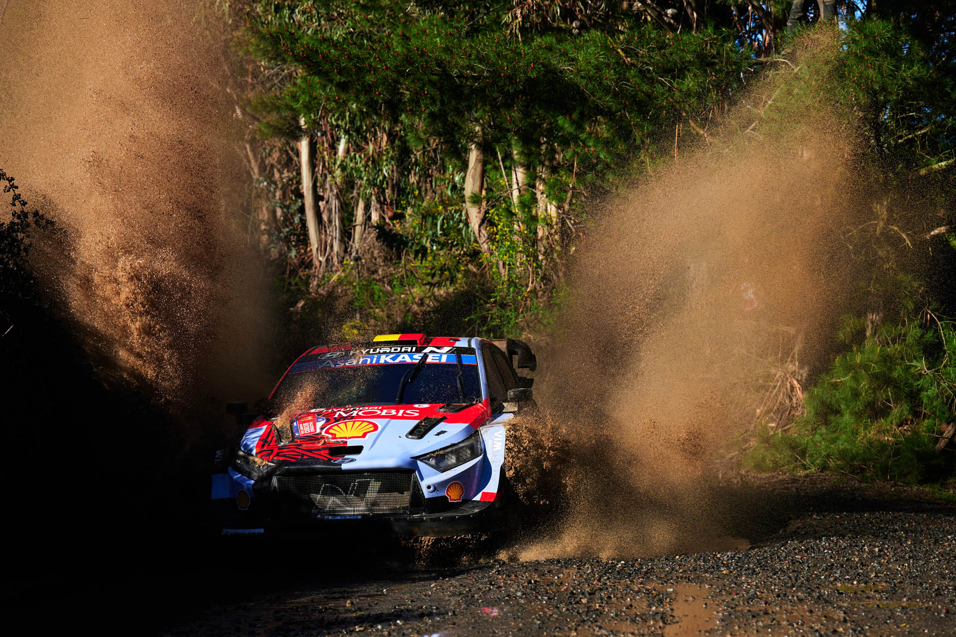 WRC Thierry Neuville (Hyundai) Rally Chile 2026 (2) WRC Thierry Neuville (Hyundai) Rally Chile 2026 (2)