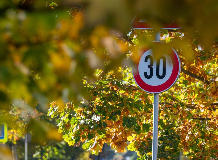 speed limit sign in autumn city park 2026 03 24 13 00 03 utc